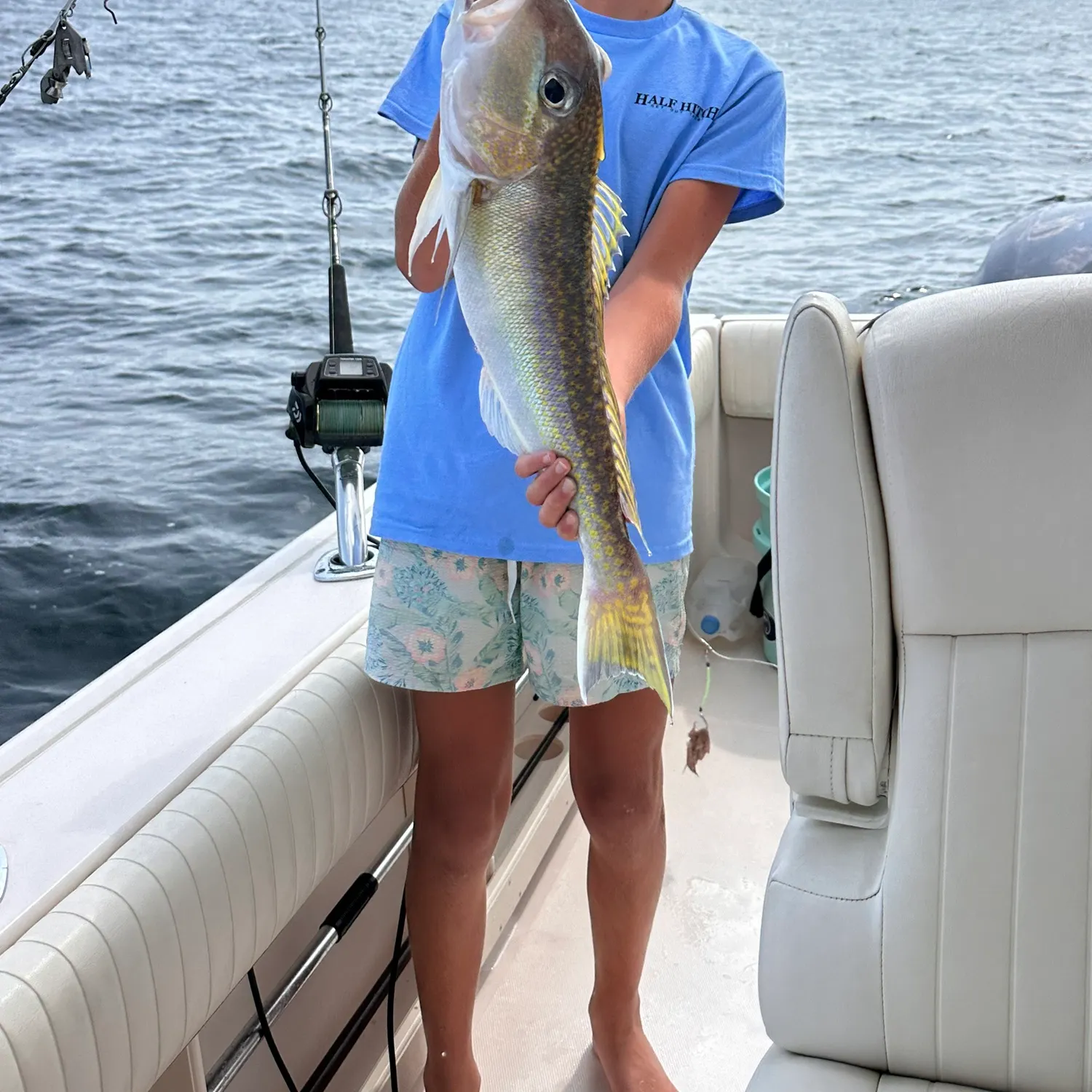The most recent Great northern tilefish catches on Fishbrain