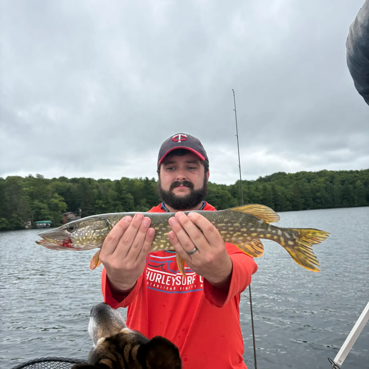 Northern pike caught on Fishbrain