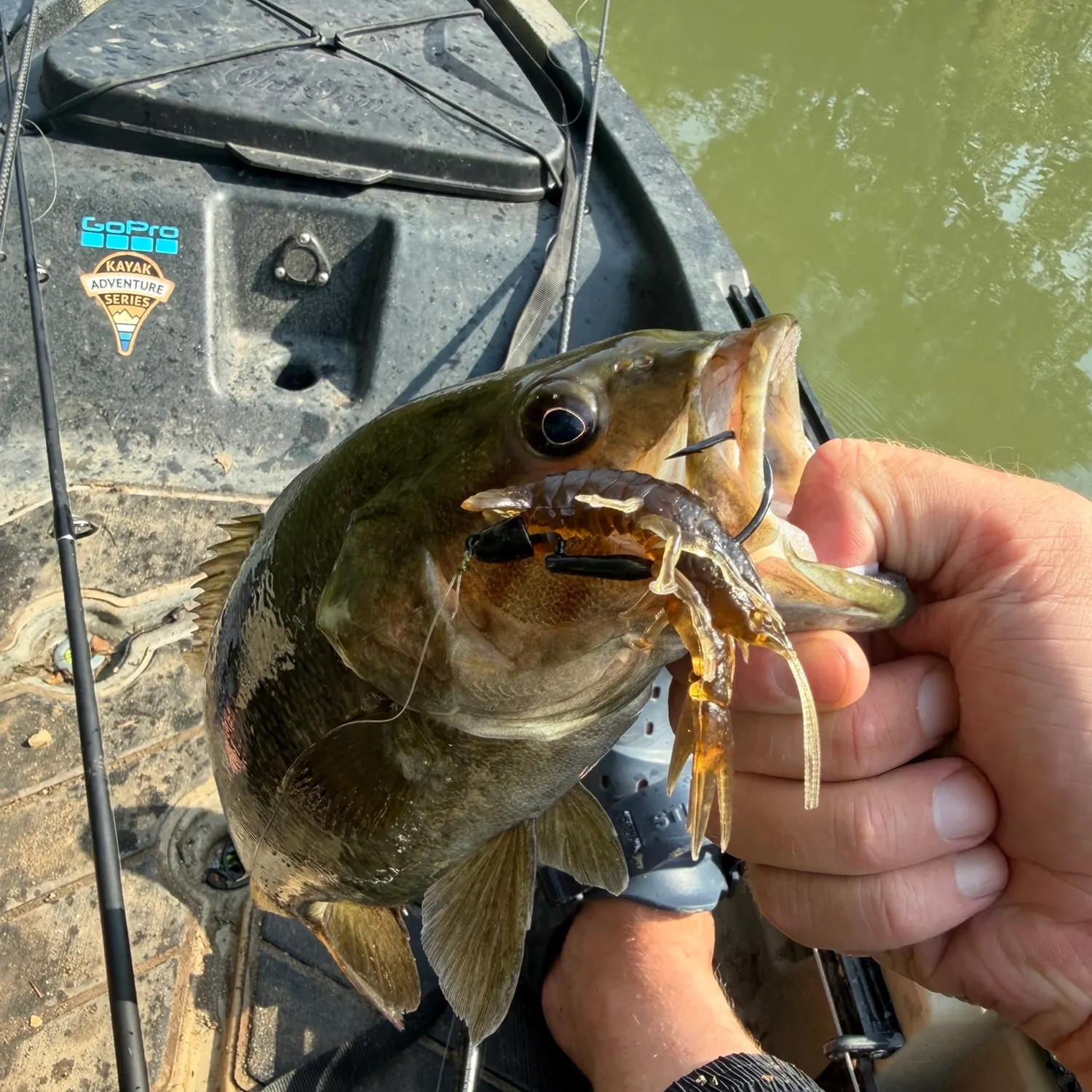 Smallmouth bass caught on Fishbrain