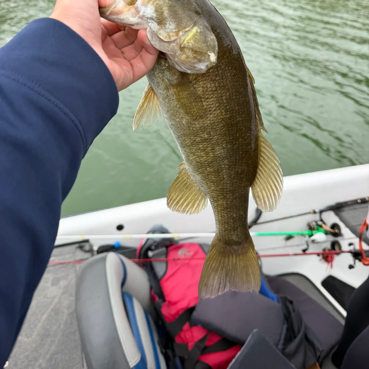 Smallmouth bass caught on Fishbrain