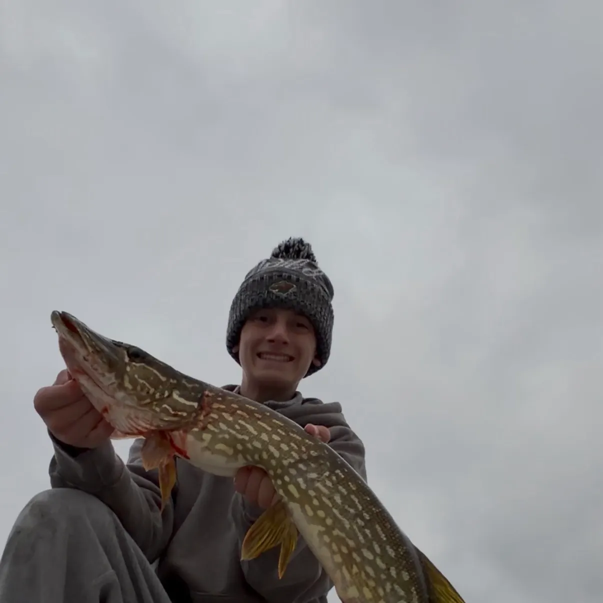 Northern pike caught on Fishbrain