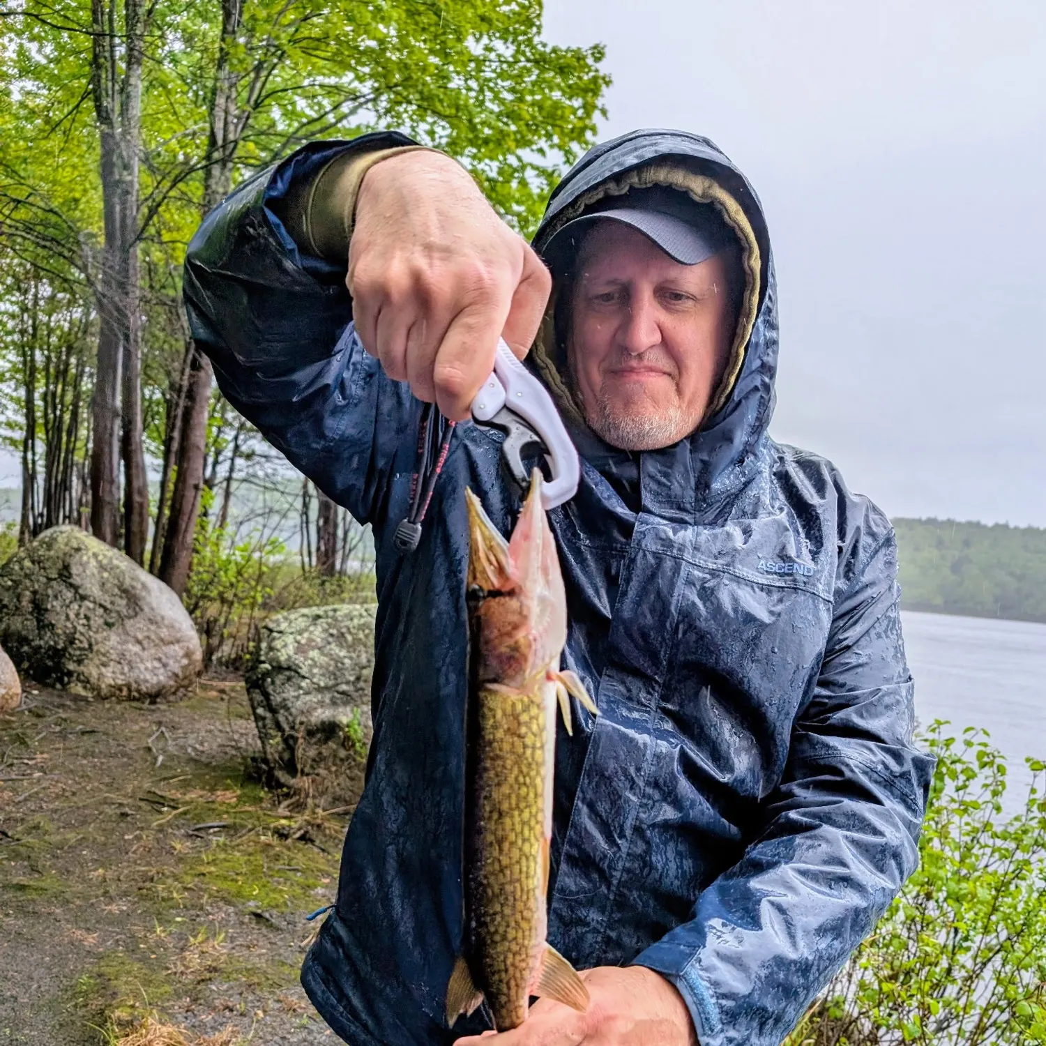 most liked catch image