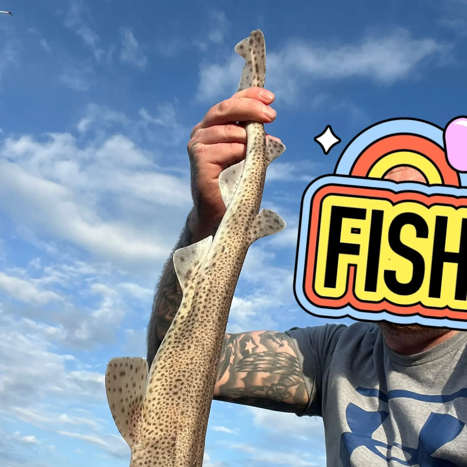 The most recent Lesser spotted dogfish catches on Fishbrain