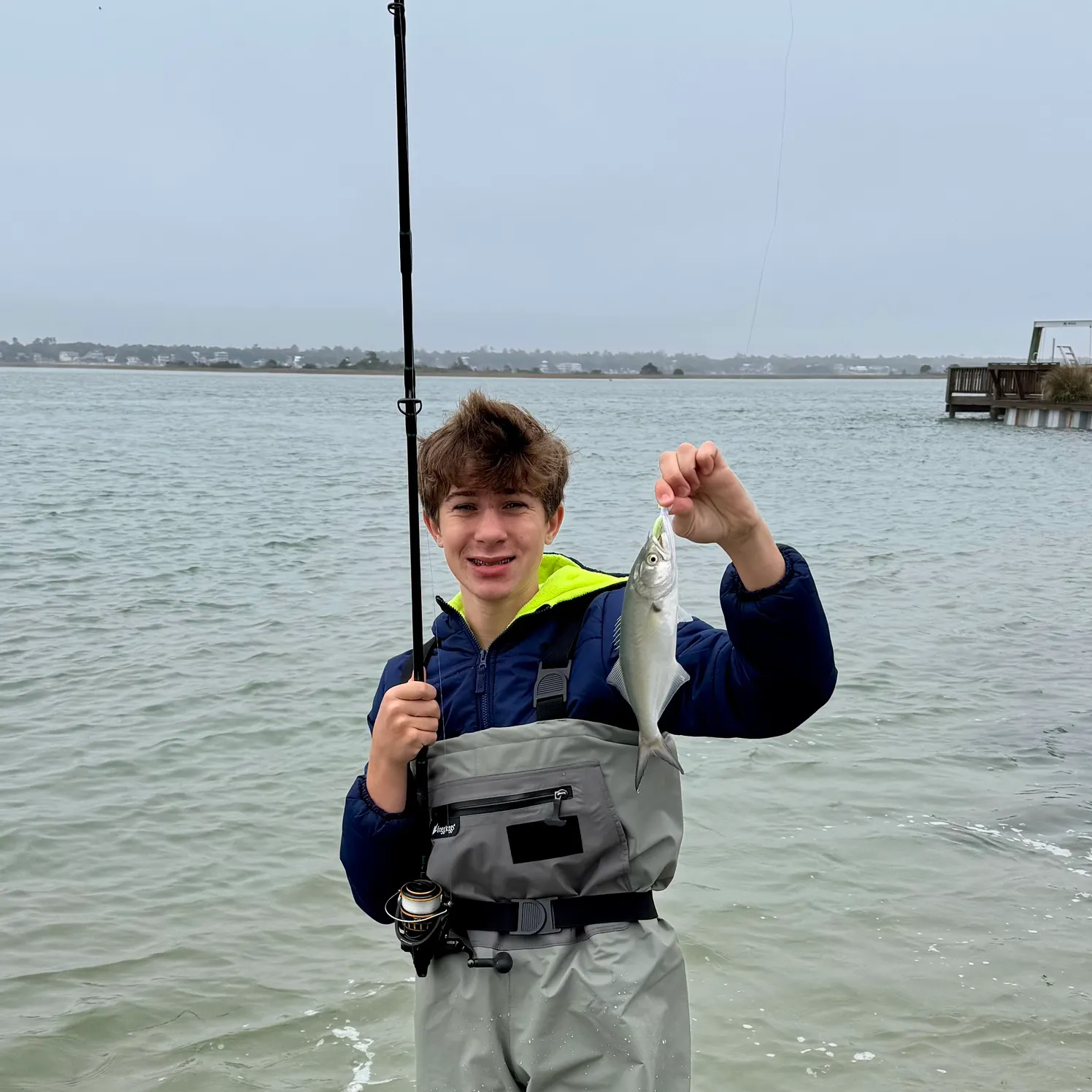 The most recent Bluefish catches on Fishbrain