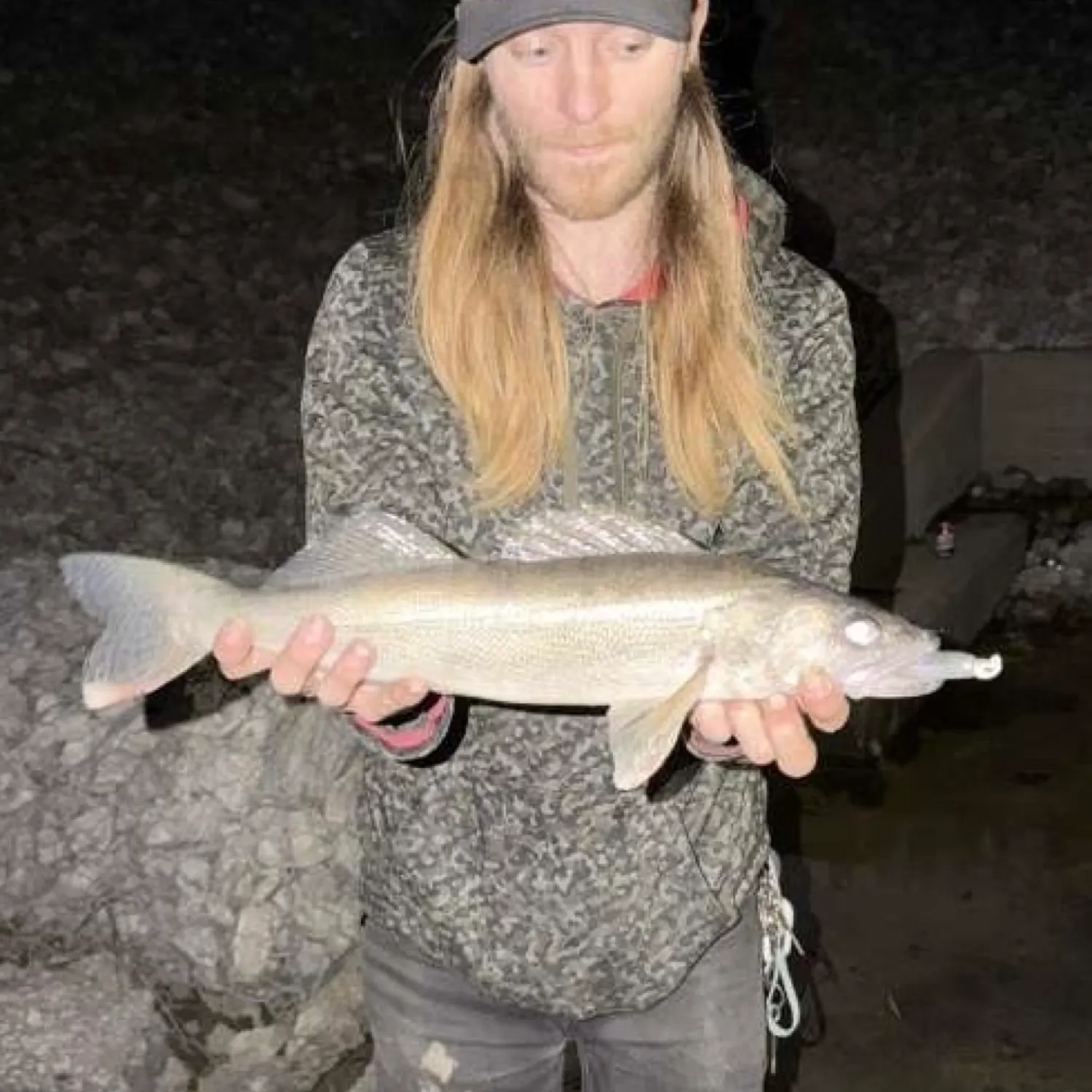 The most recent Walleye catches on Fishbrain