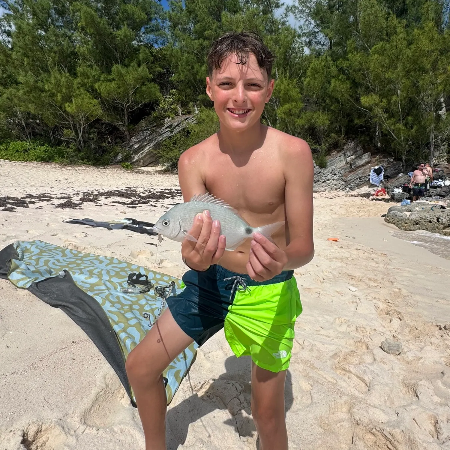 The most recent Spottail seabream catches on Fishbrain