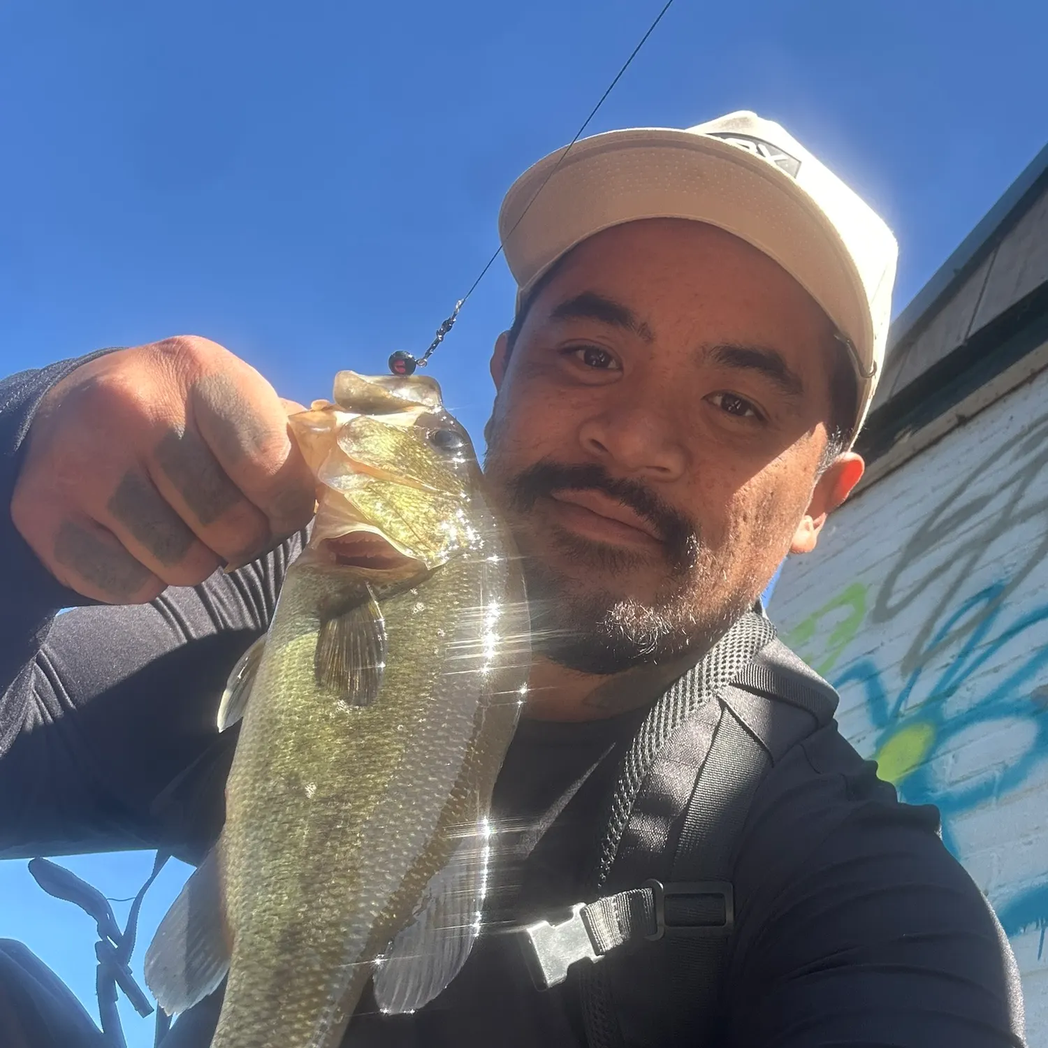 Largemouth bass caught on Fishbrain