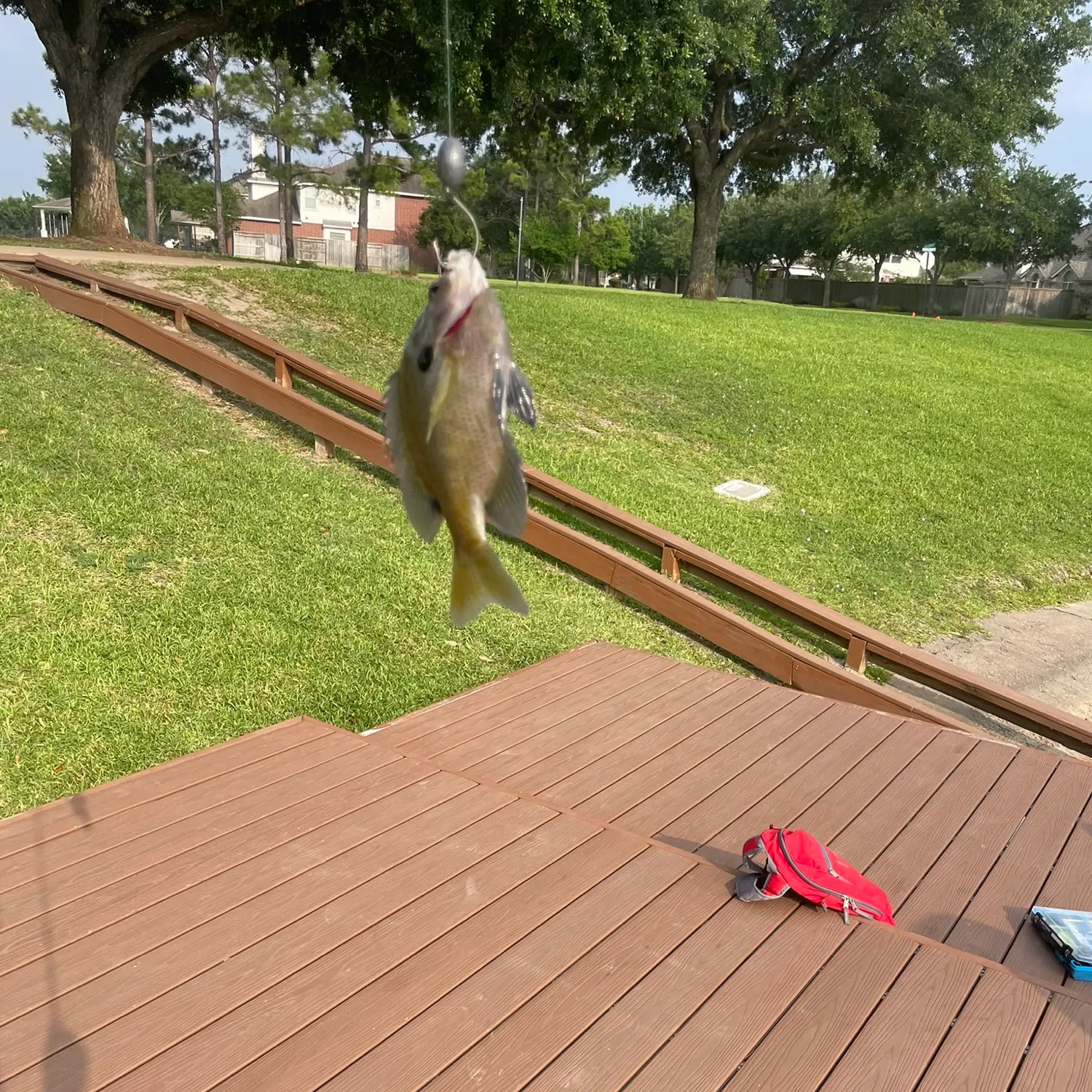 catch