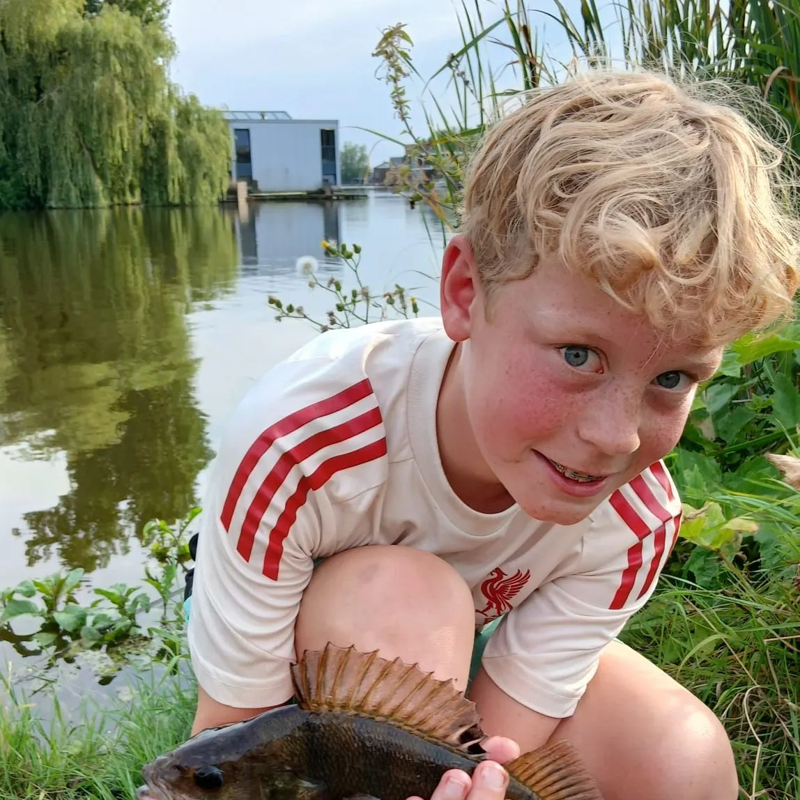 European perch caught on Fishbrain