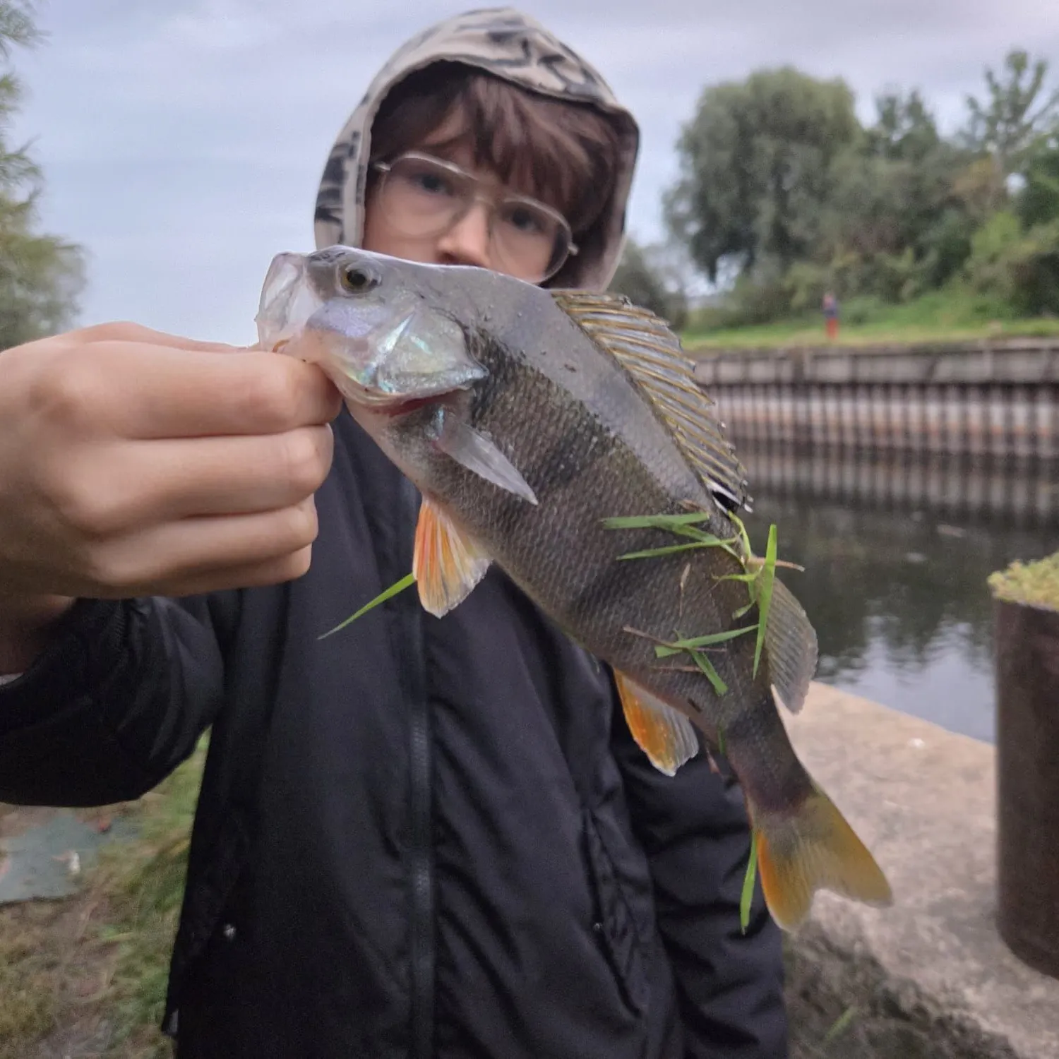 Fish caught on Fishbrain