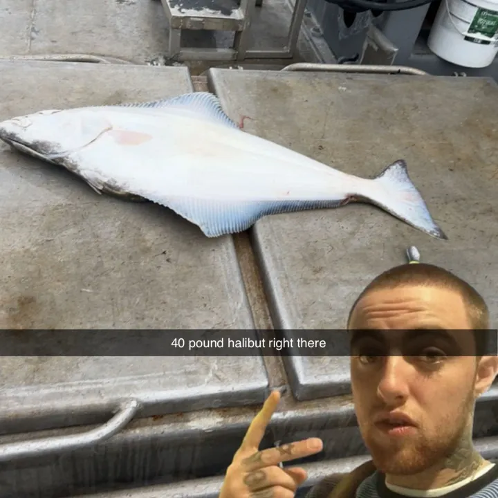 Pacific halibut caught on Fishbrain
