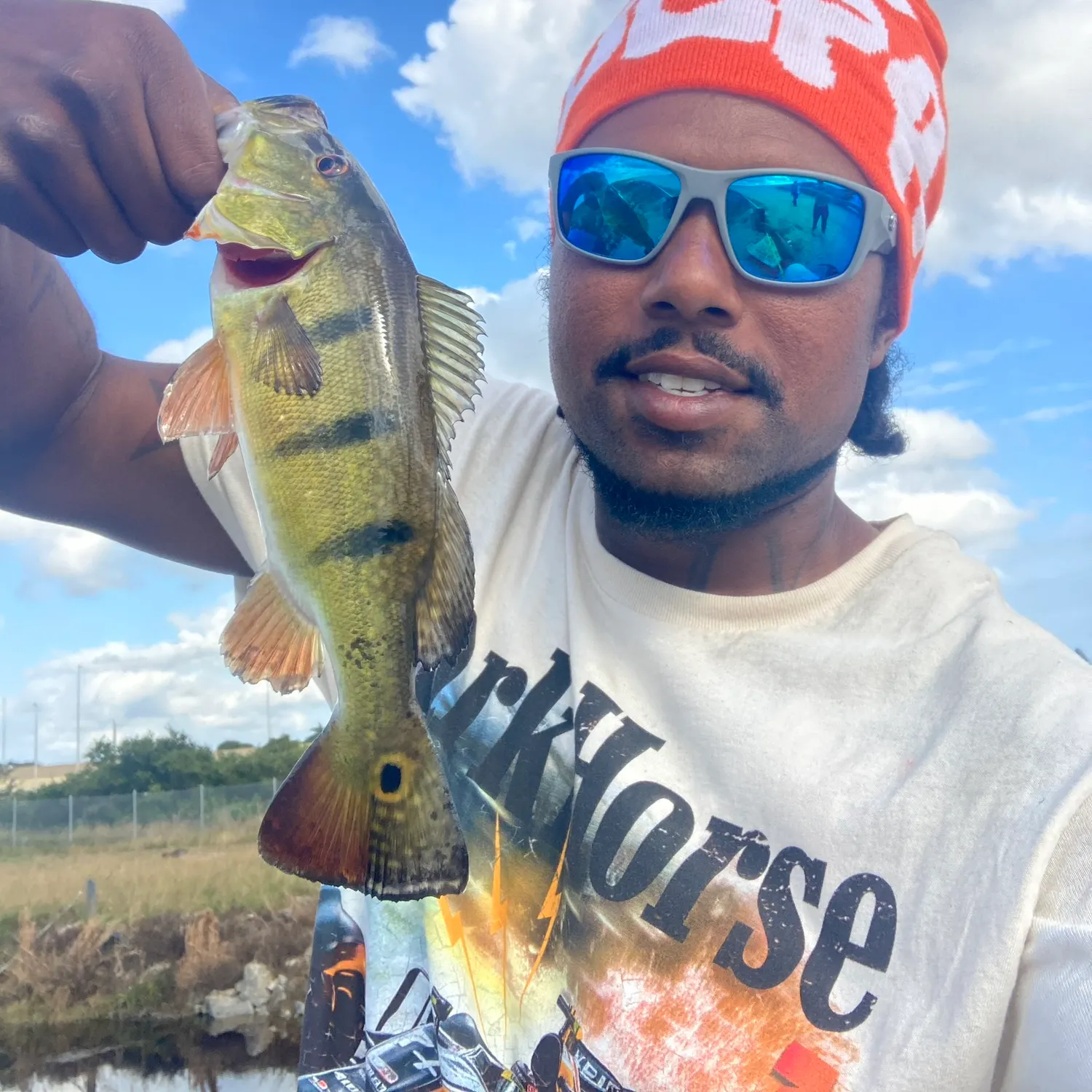 The most recent Butterfly peacock bass catches on Fishbrain