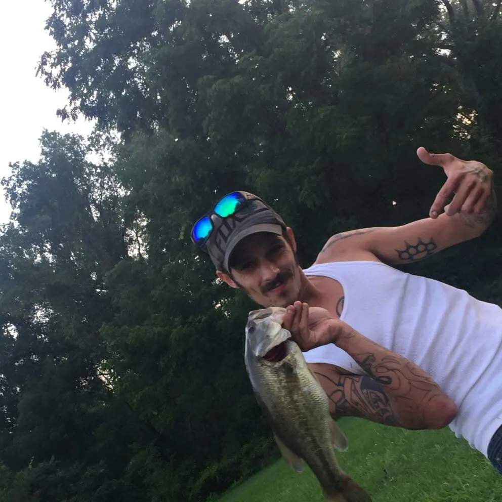 Largemouth bass caught on Fishbrain