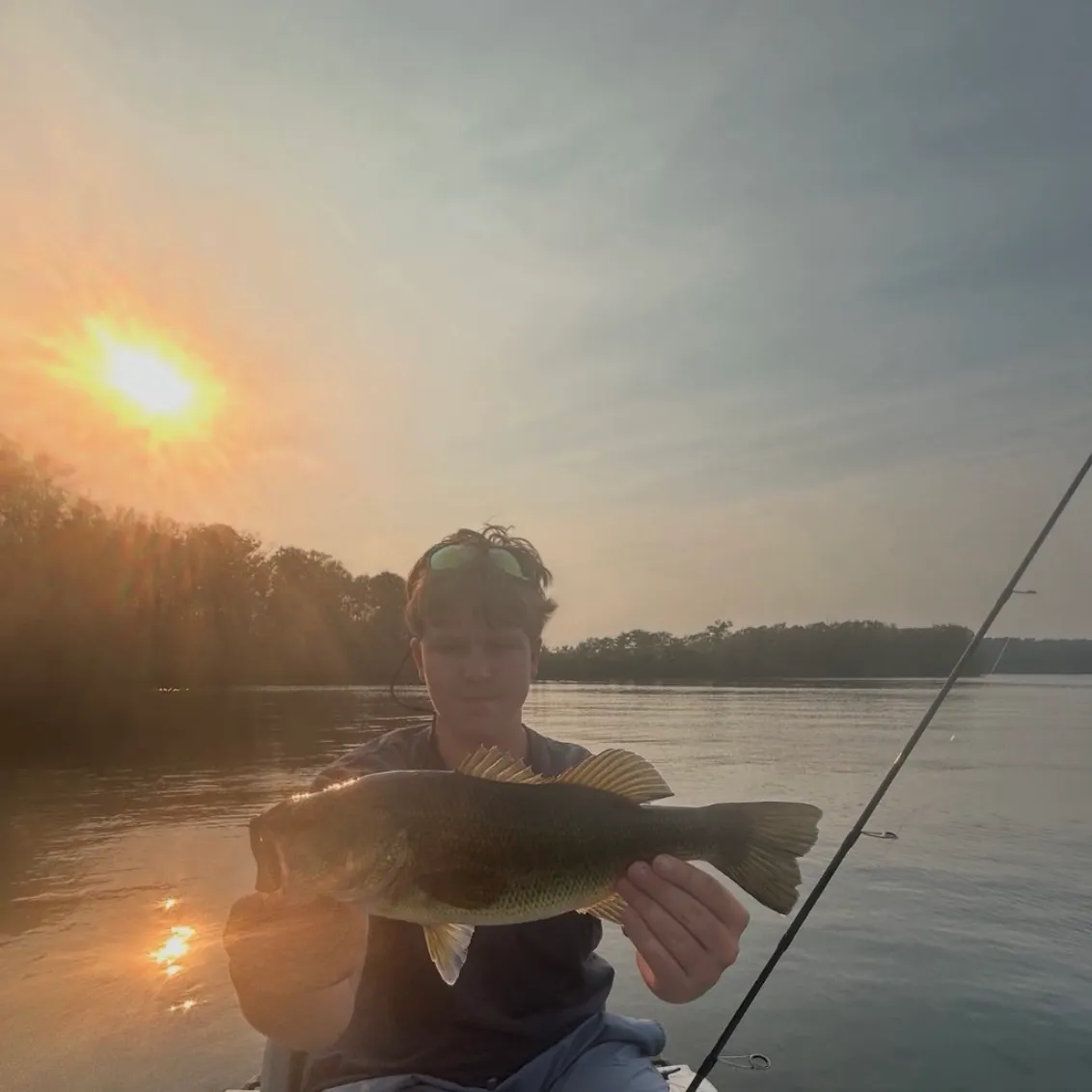 Largemouth bass caught on Fishbrain