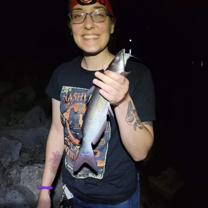 angler catch