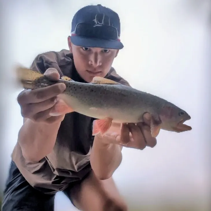 Cutbow caught on Fishbrain