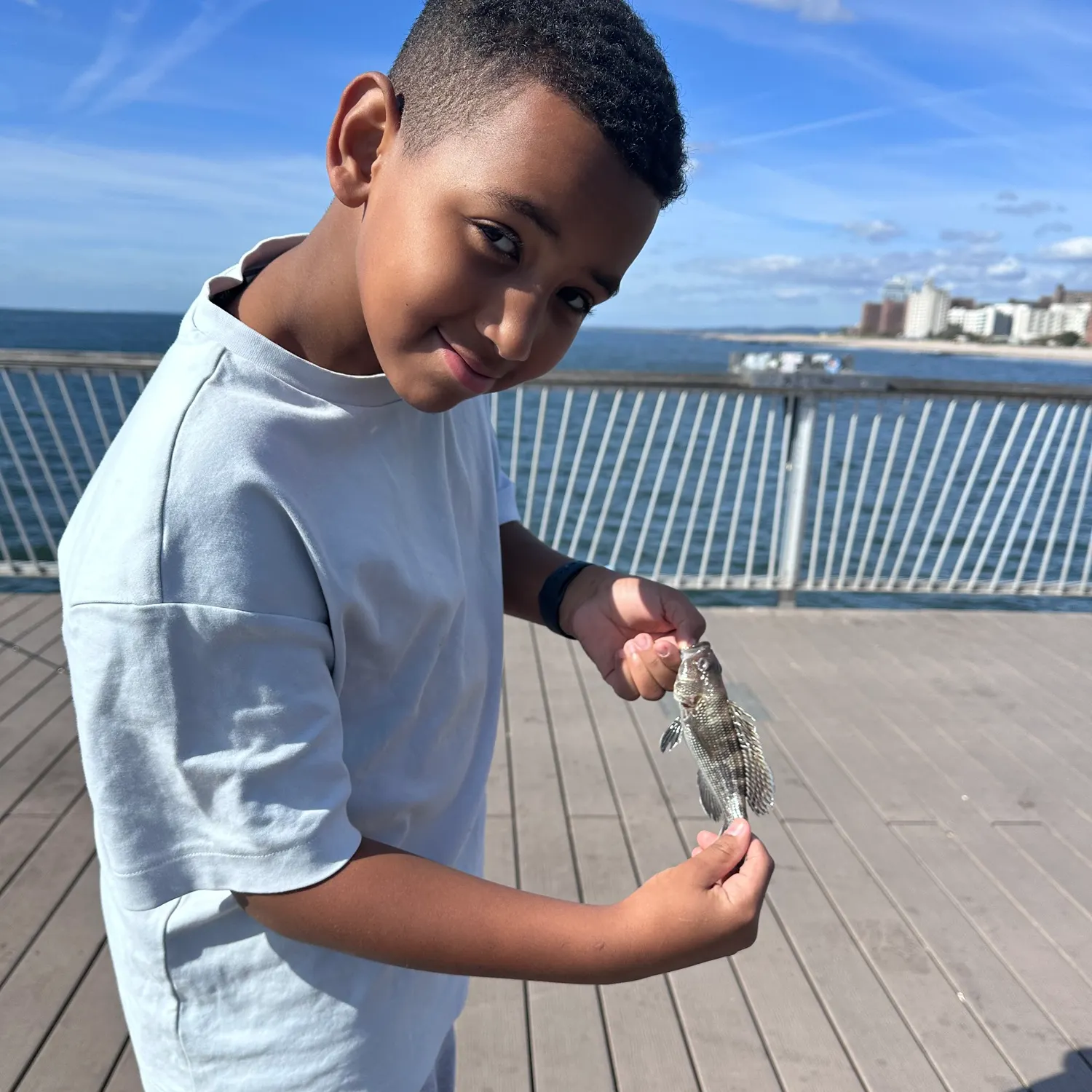 The most recent Black sea bass catches on Fishbrain