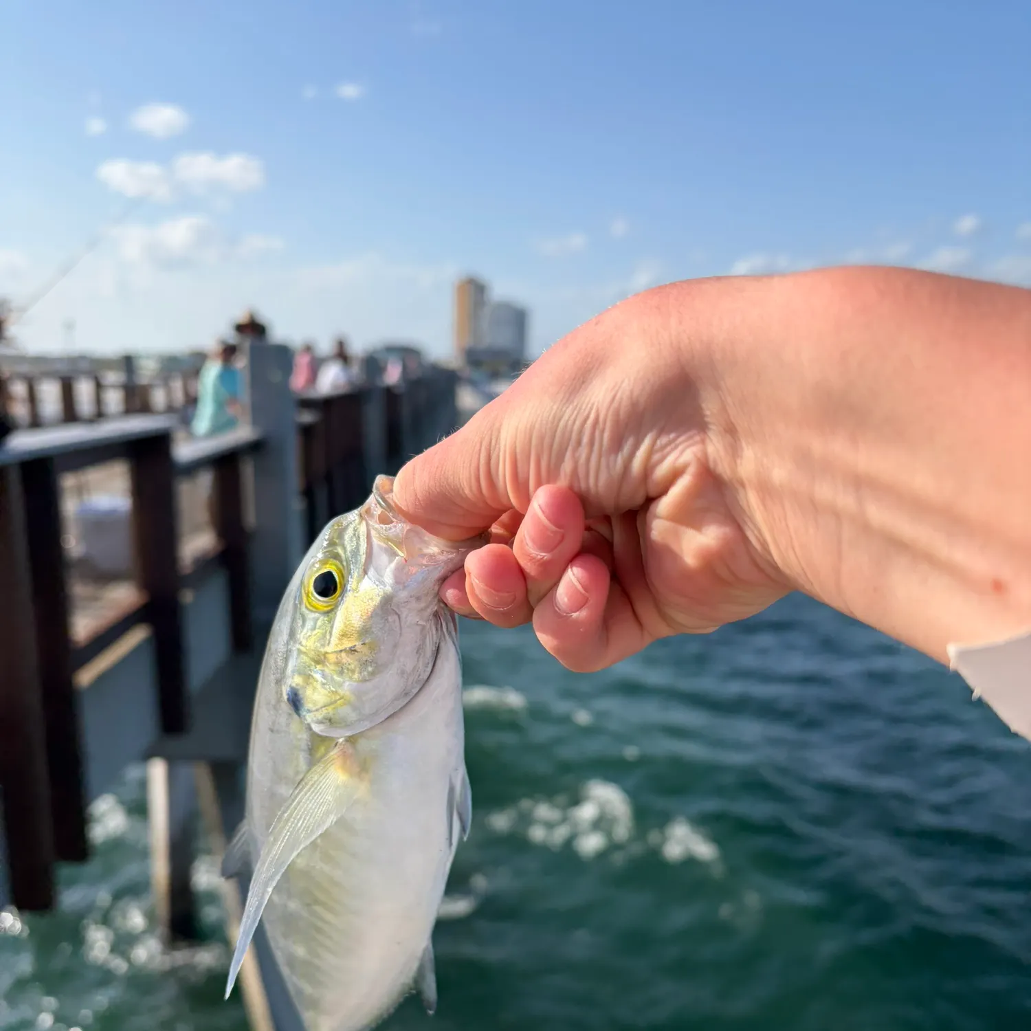 catch
