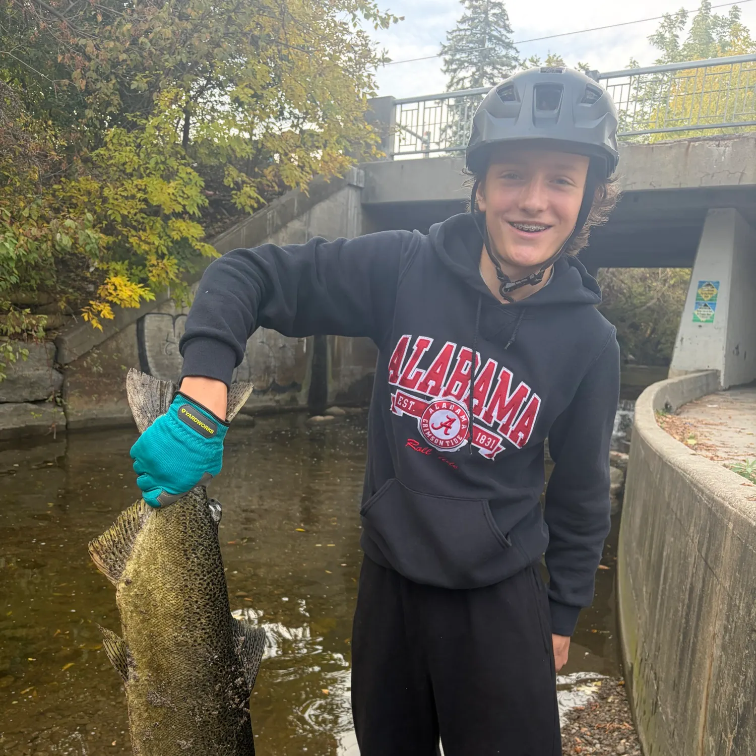 Chinook salmon caught on Fishbrain