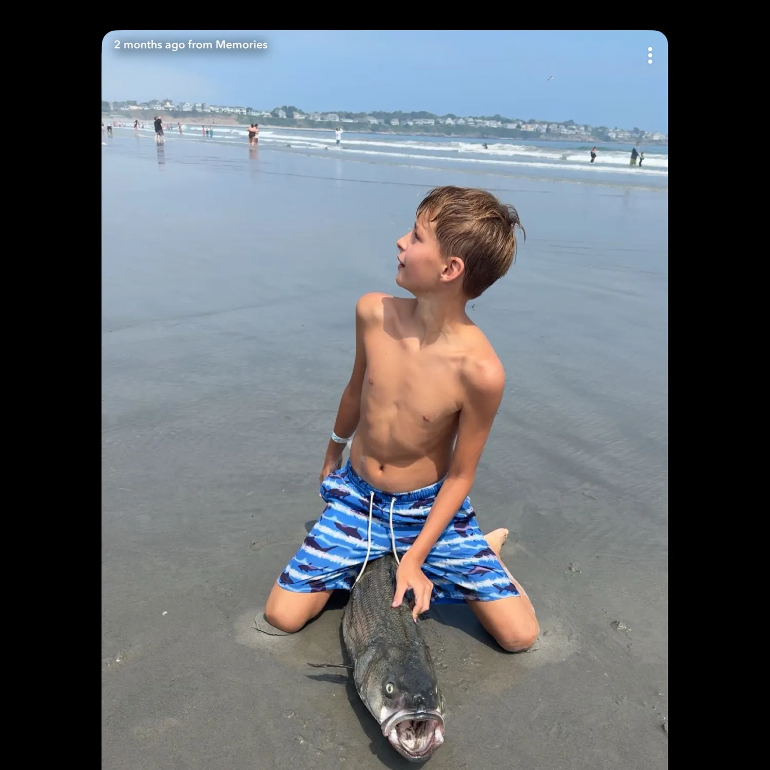 Fish caught on Fishbrain