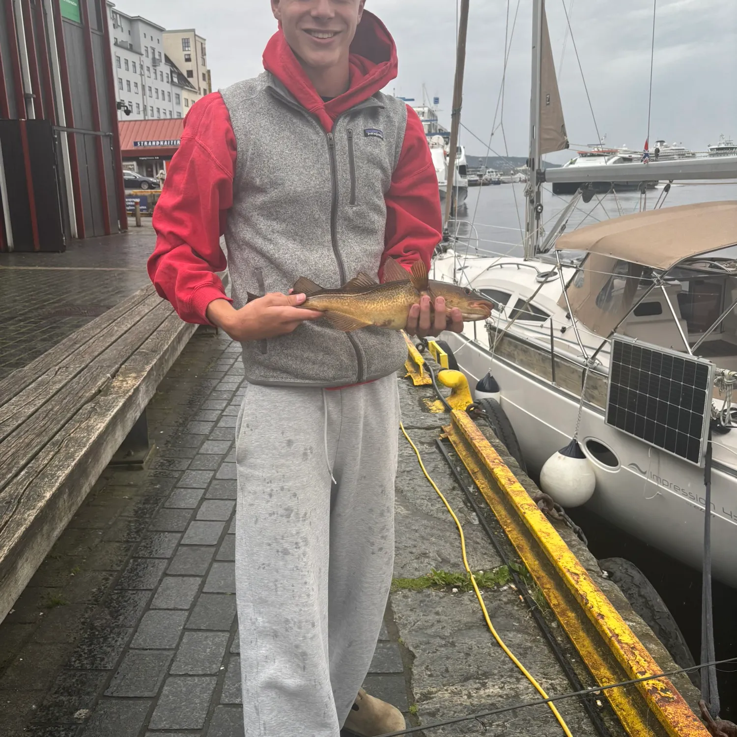 Atlantic cod caught on Fishbrain