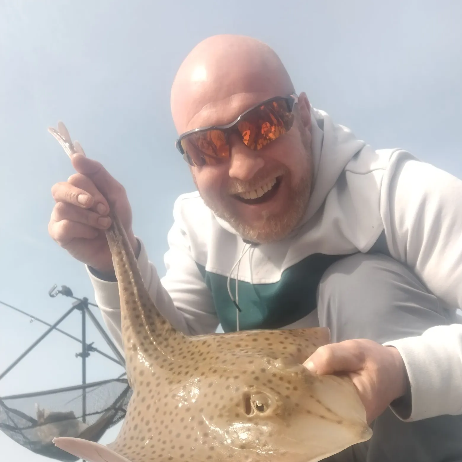 The most recent Spotted ray catches on Fishbrain