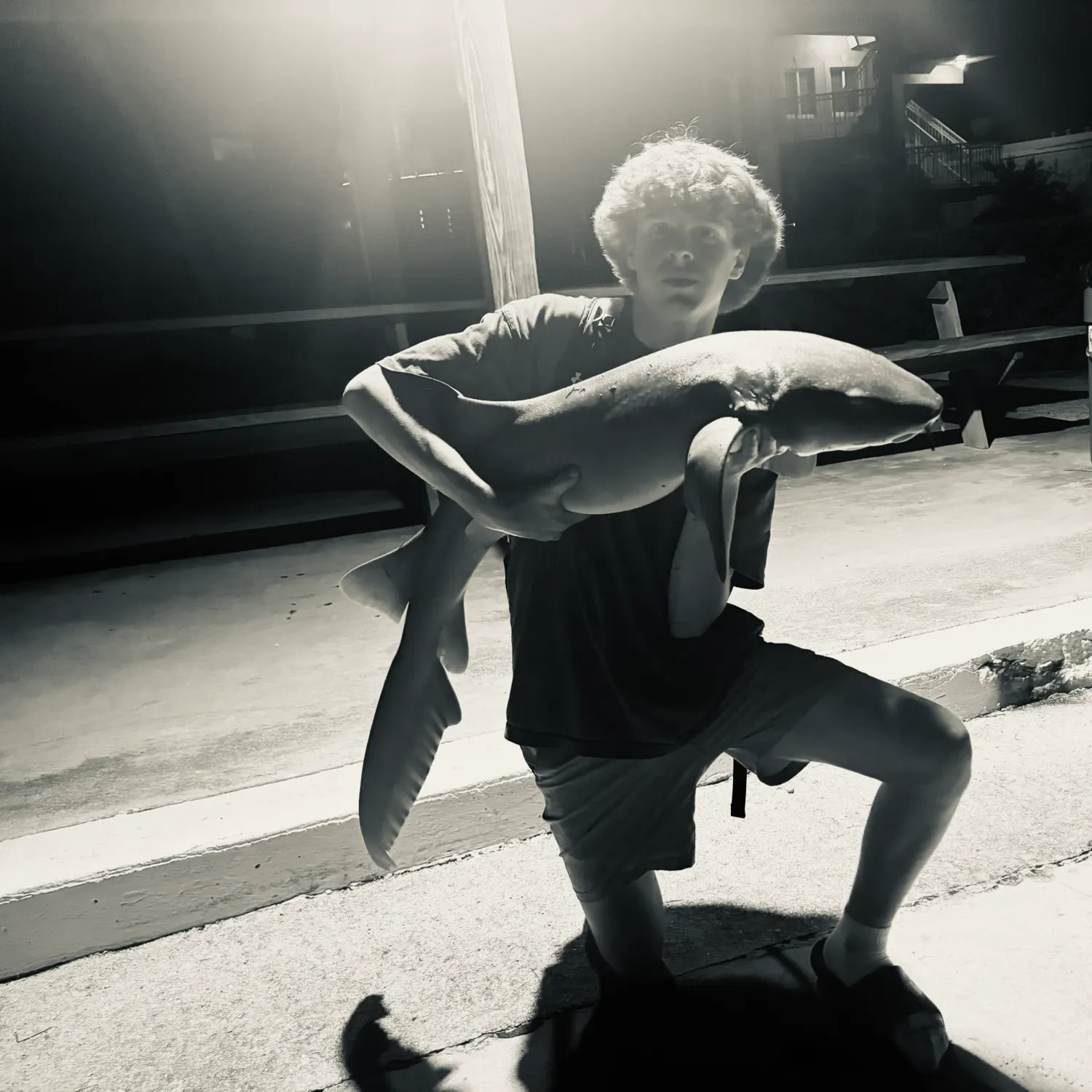 The most recent Nurse shark catches on Fishbrain