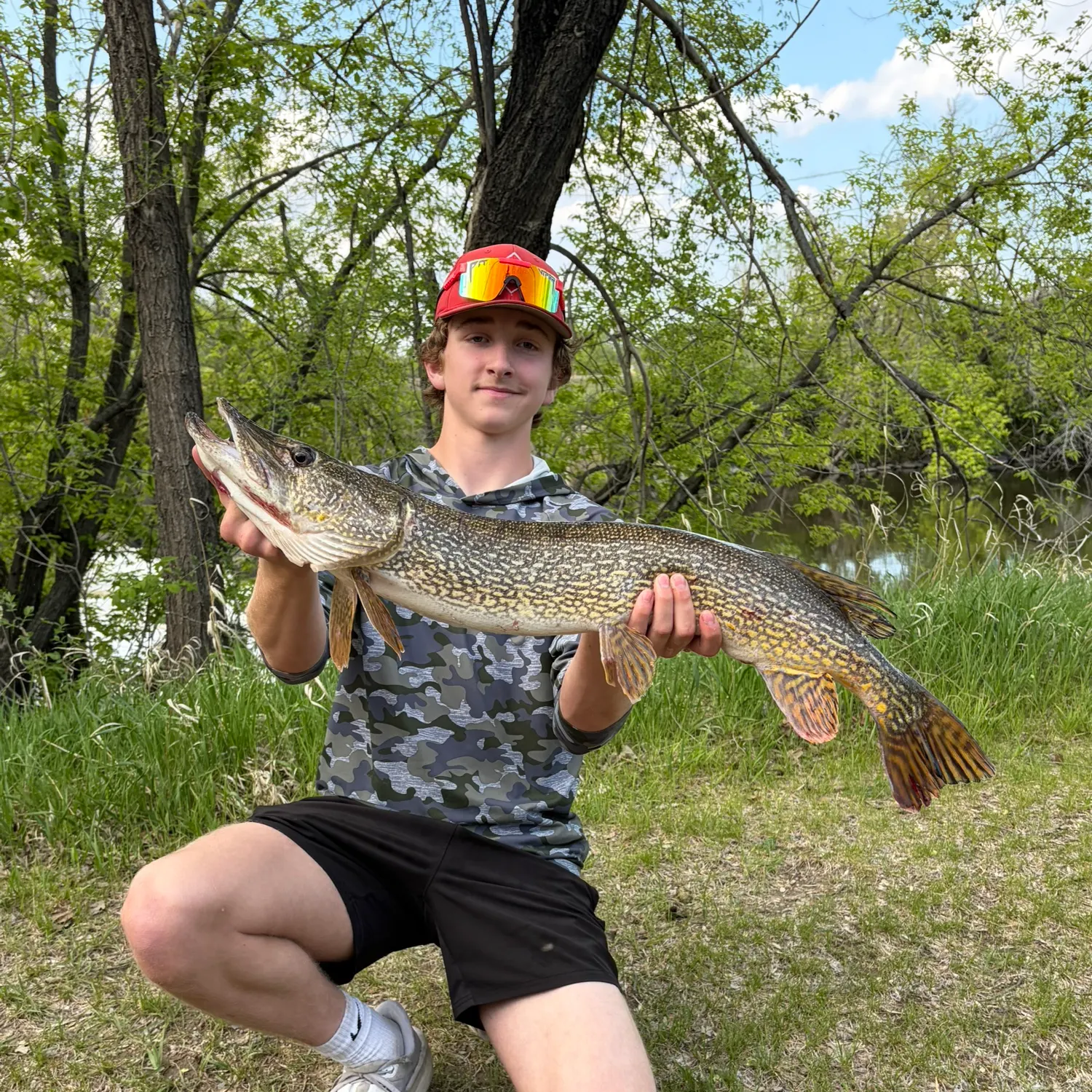 catch