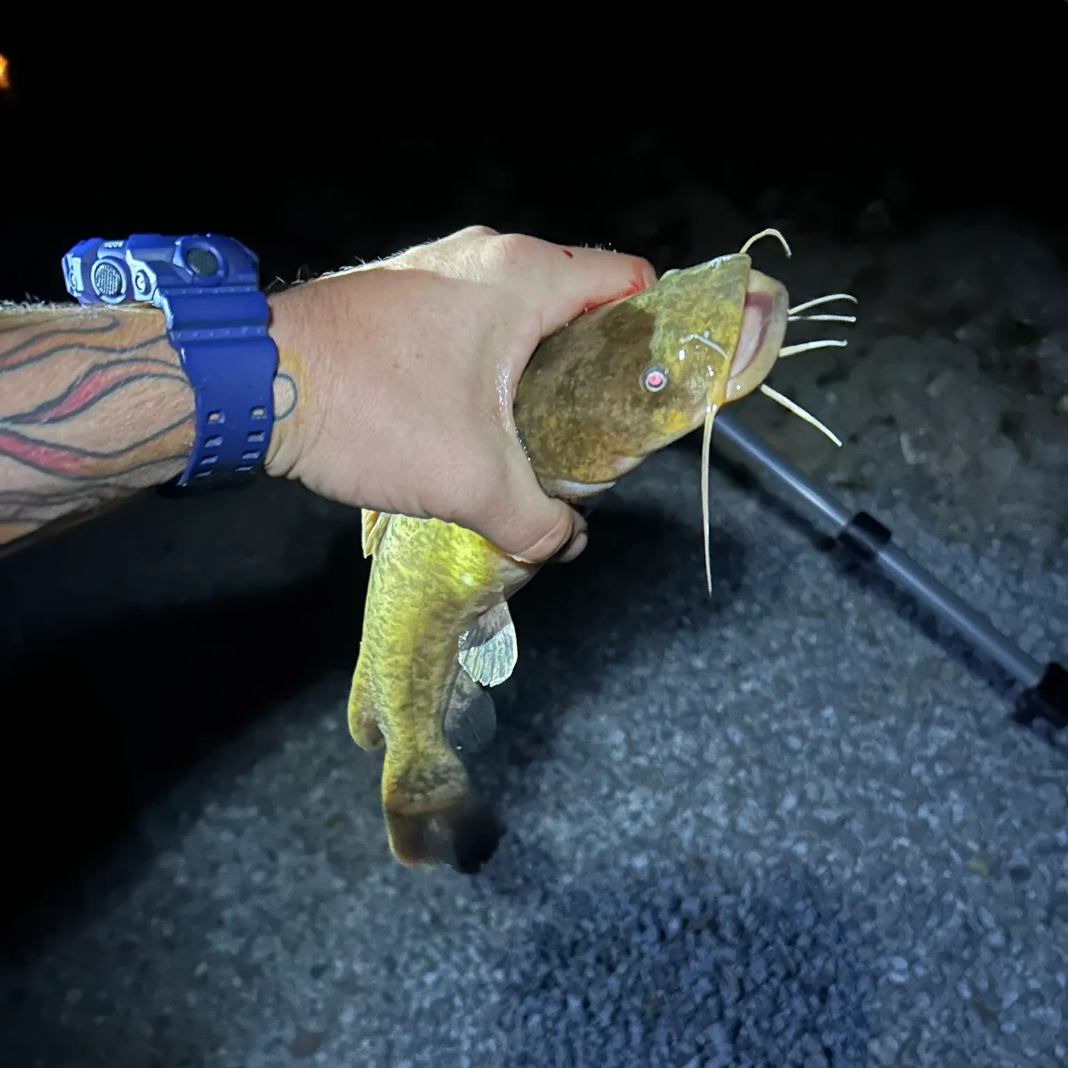 catch