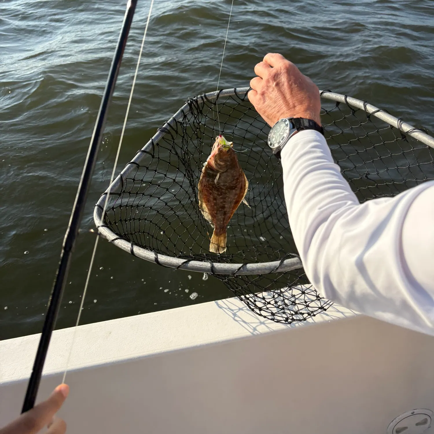The most recent Southern flounder catches on Fishbrain