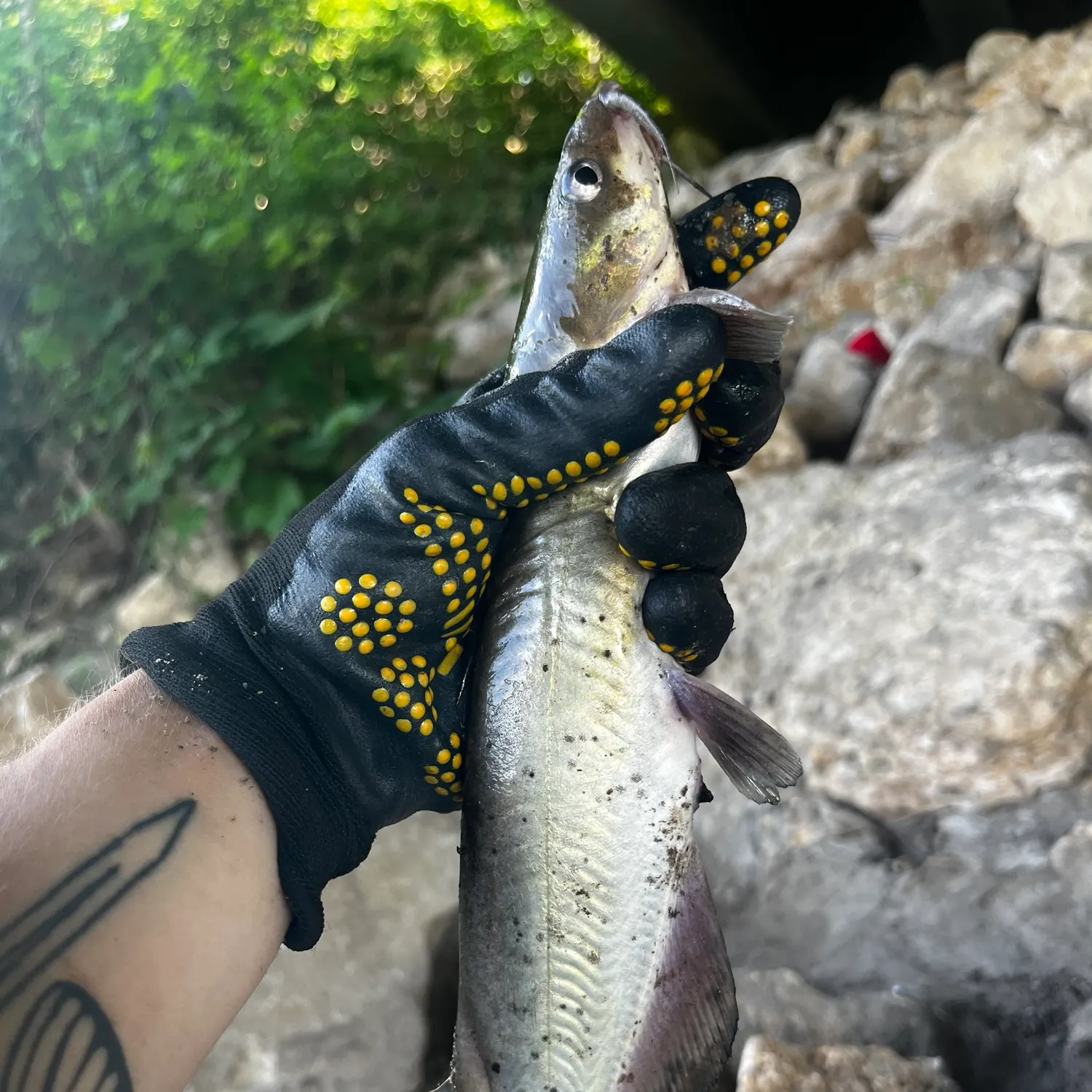 catch