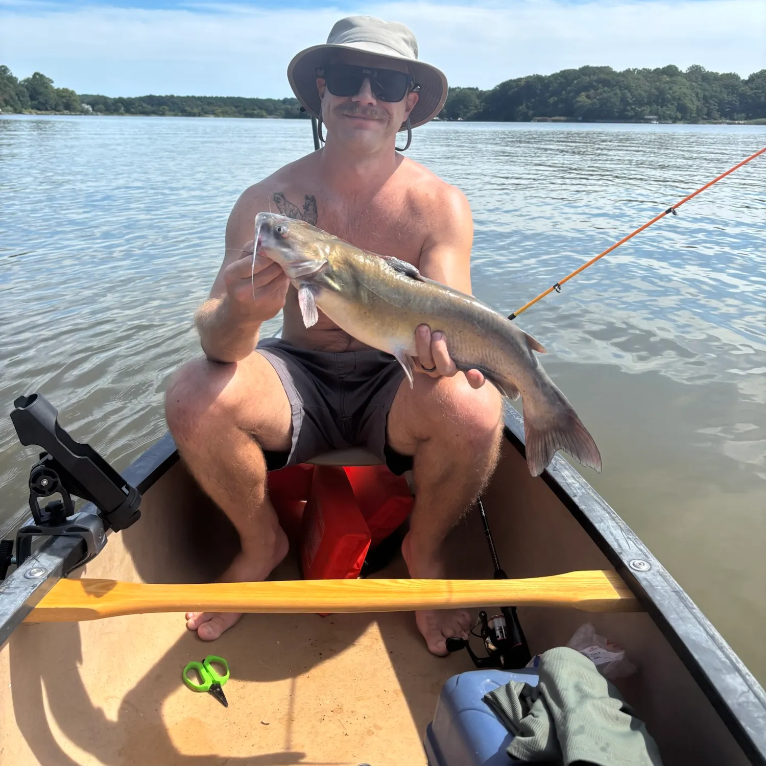 Channel catfish caught on Fishbrain