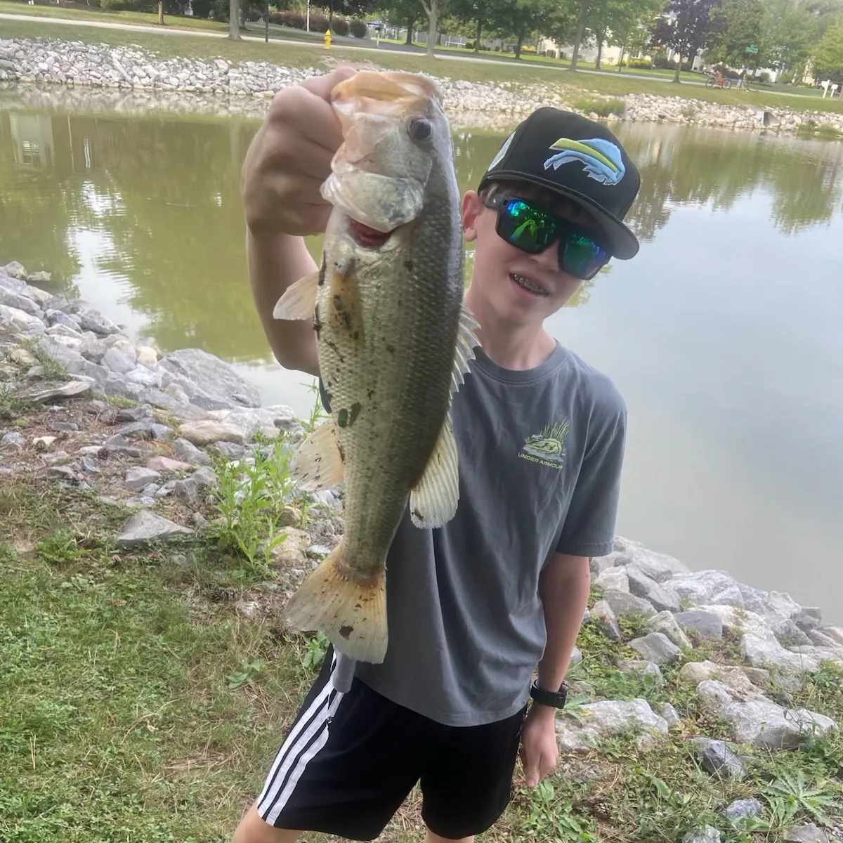 Largemouth bass caught on Fishbrain