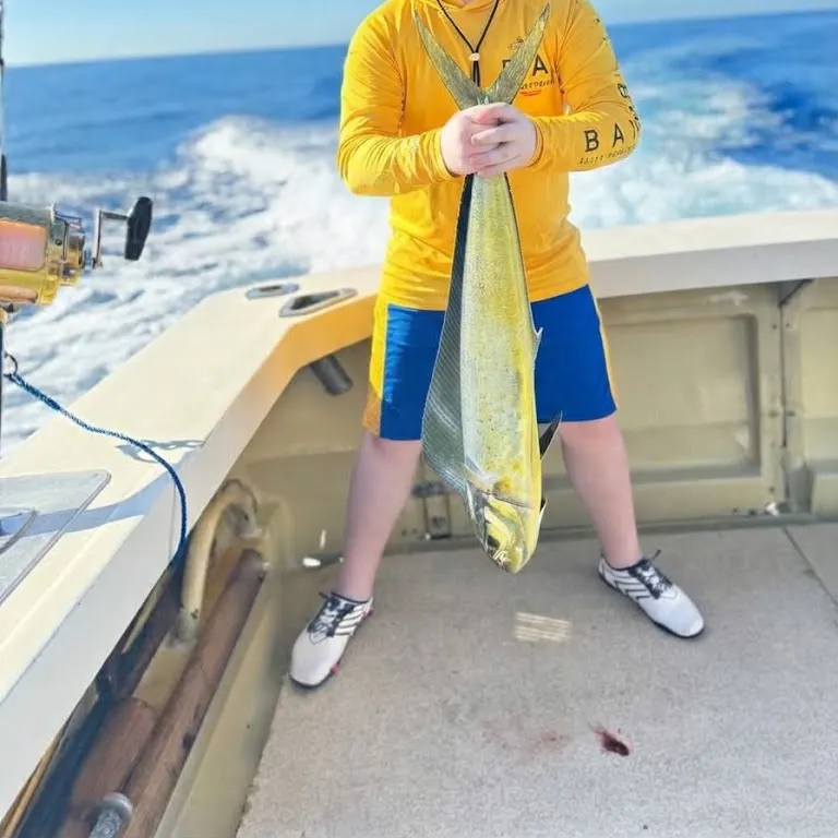 Common dolphinfish caught on Fishbrain