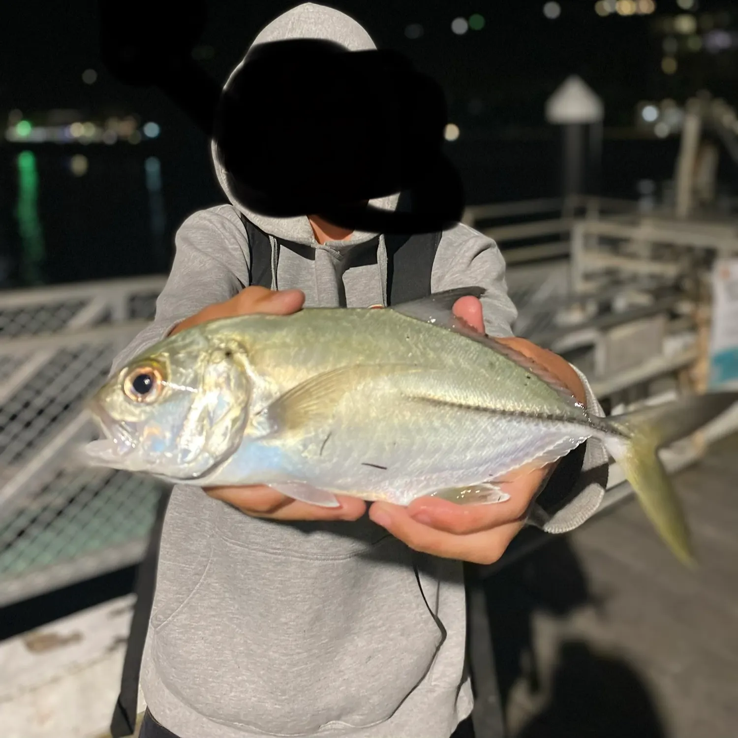 Bigeye trevally caught on Fishbrain