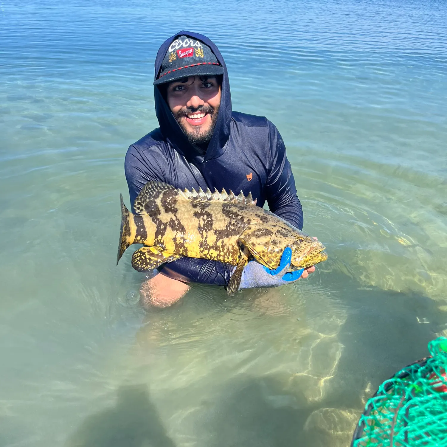 The most popular recent Atlantic goliath grouper catch on Fishbrain