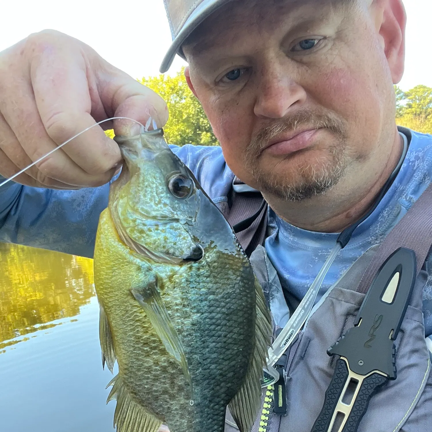 Redear sunfish caught on Fishbrain
