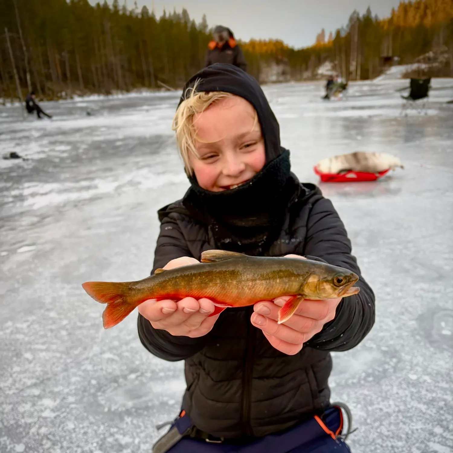 Arctic char caught on Fishbrain