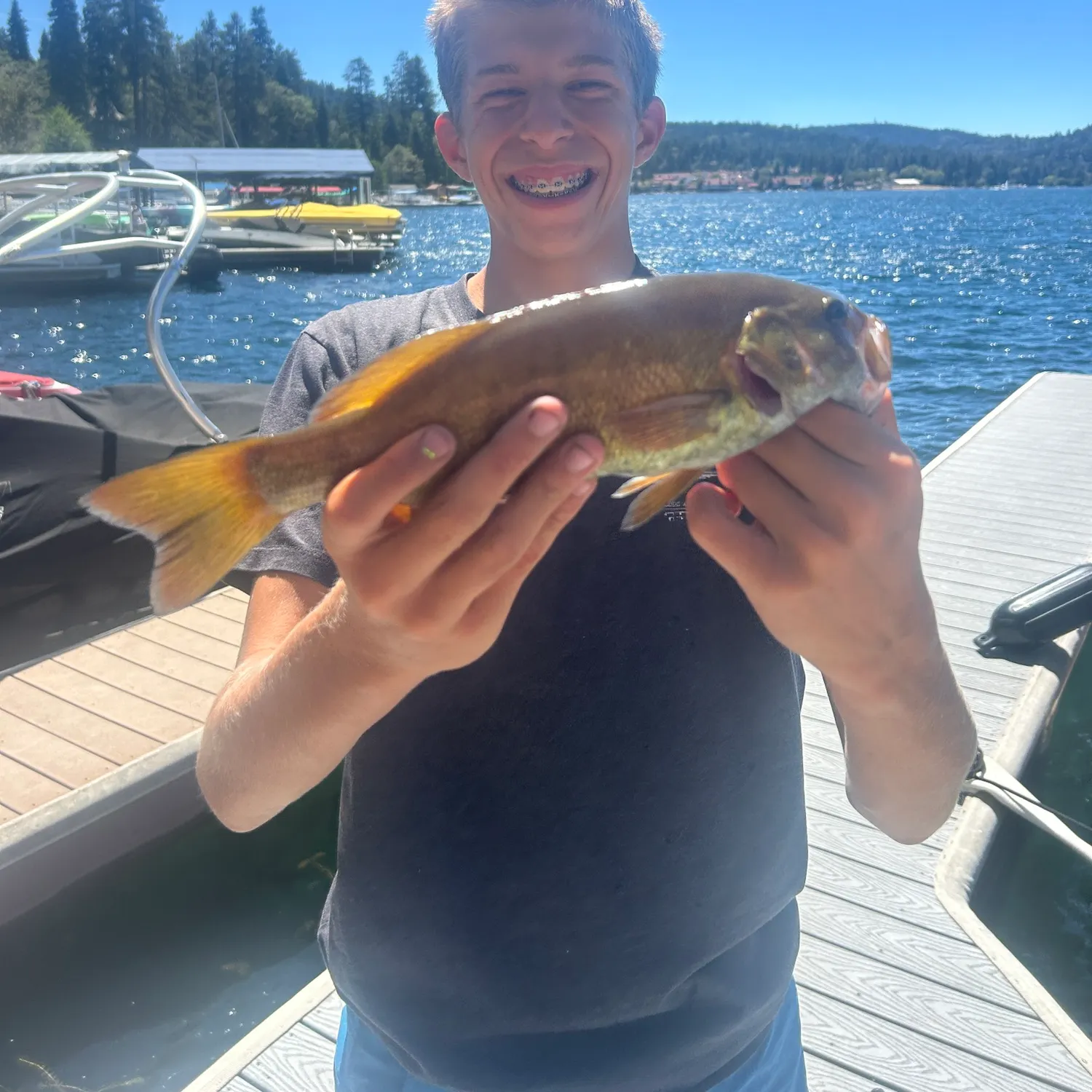 Smallmouth bass caught on Fishbrain