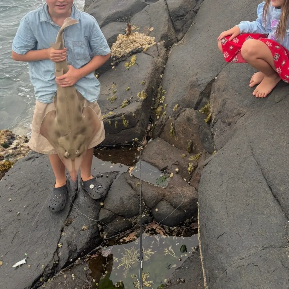 Fish caught on Fishbrain