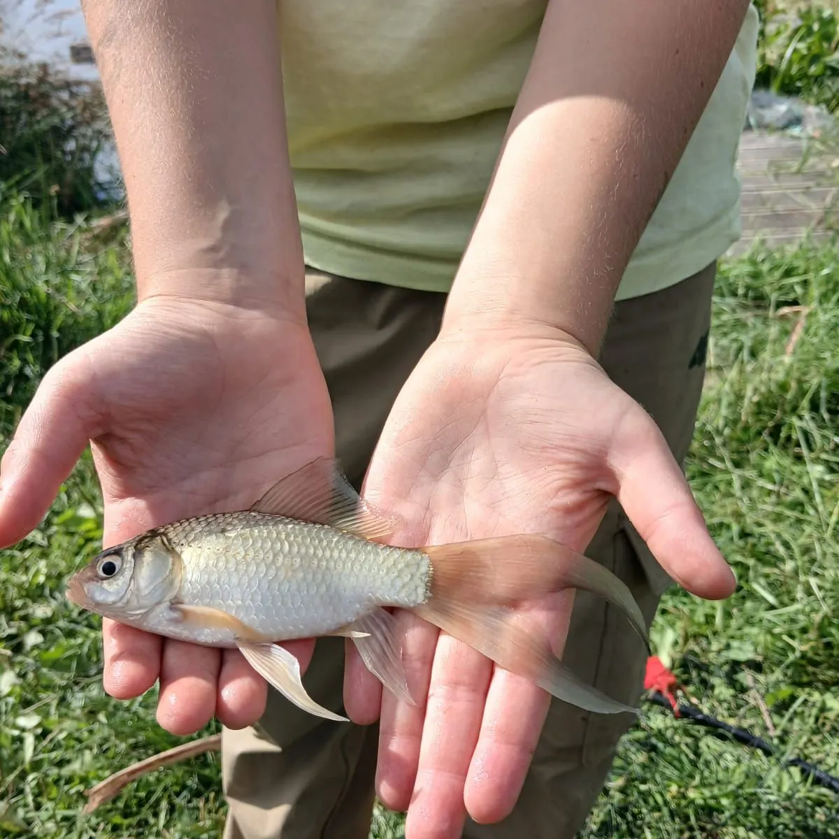 Fish caught on Fishbrain