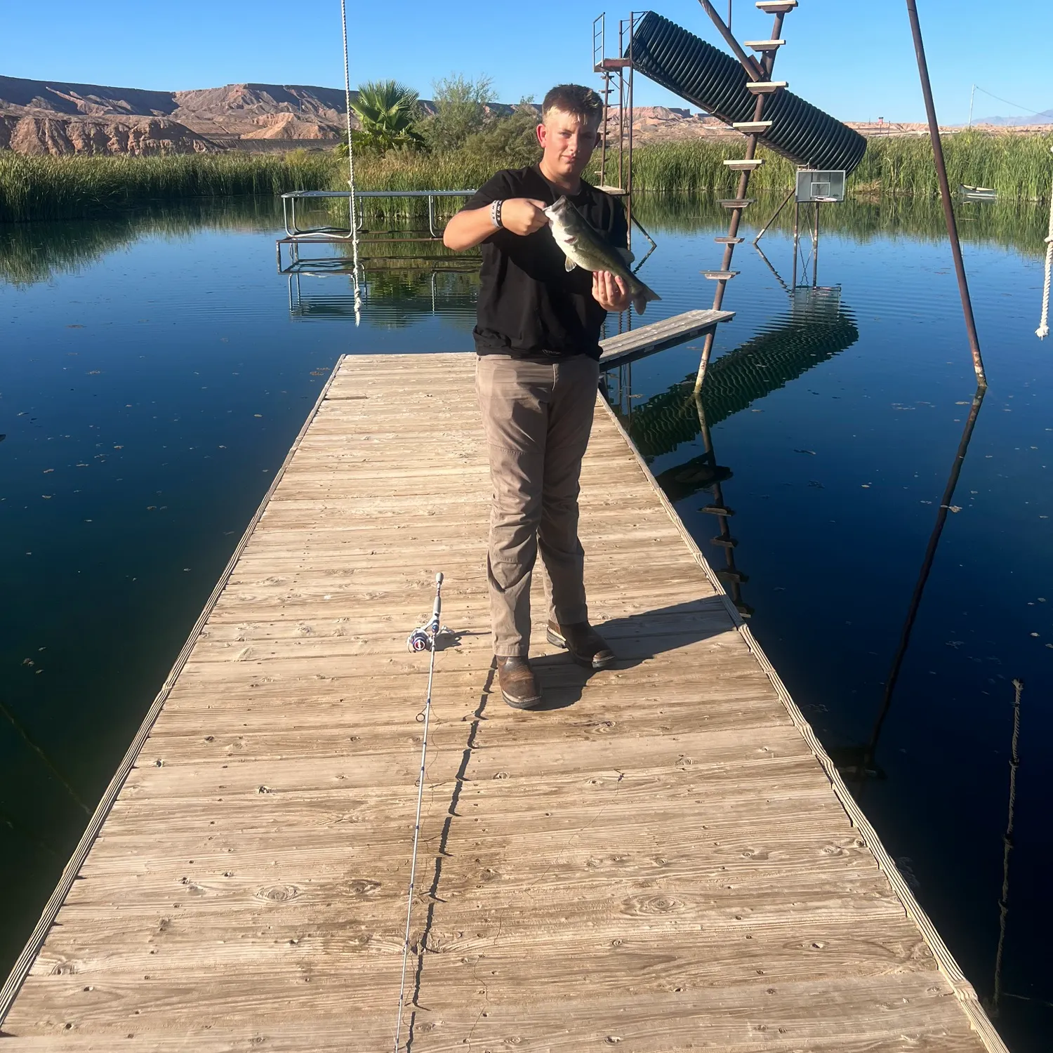 Largemouth bass caught on Fishbrain