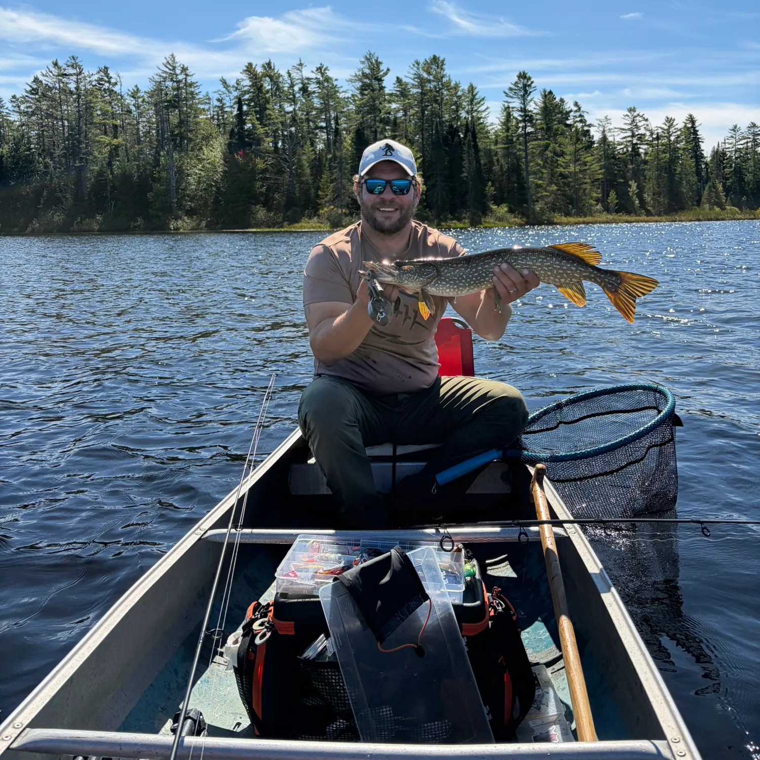 Northern pike caught on Fishbrain
