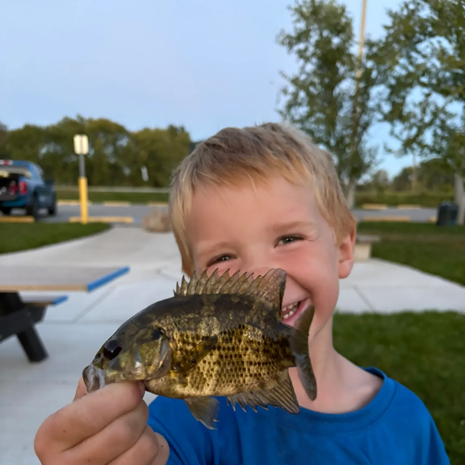 Rock bass caught on Fishbrain