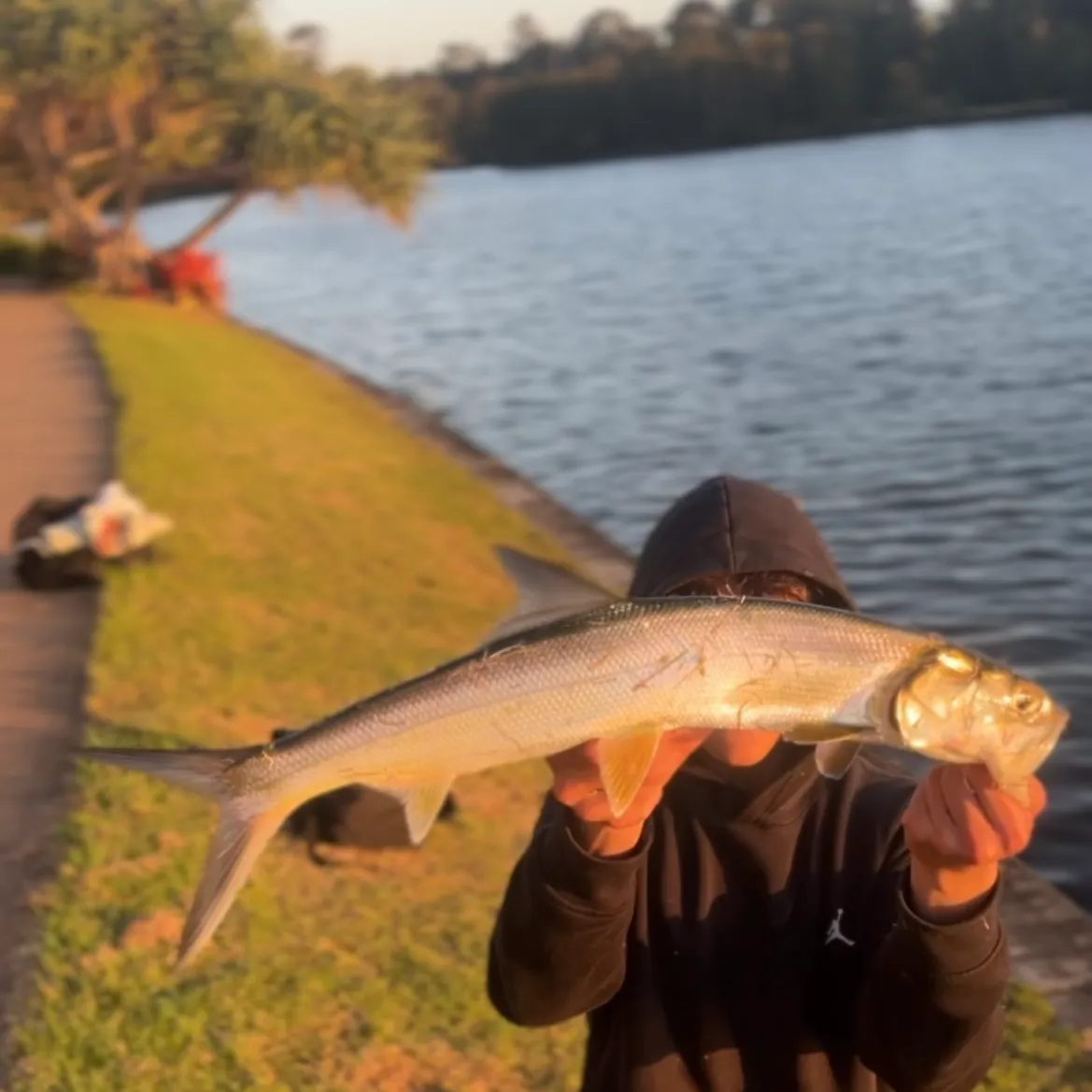Fish caught on Fishbrain