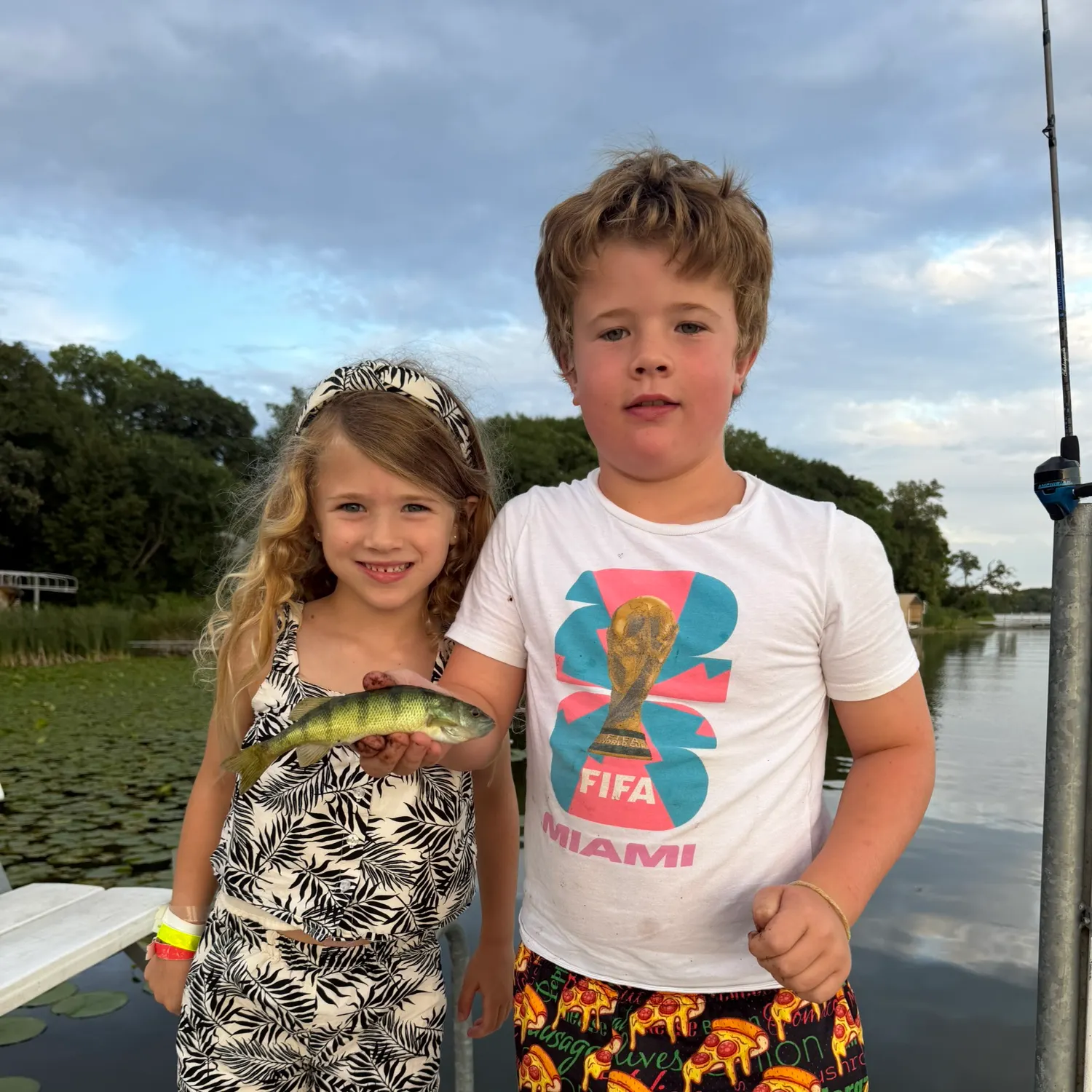 Yellow perch caught on Fishbrain