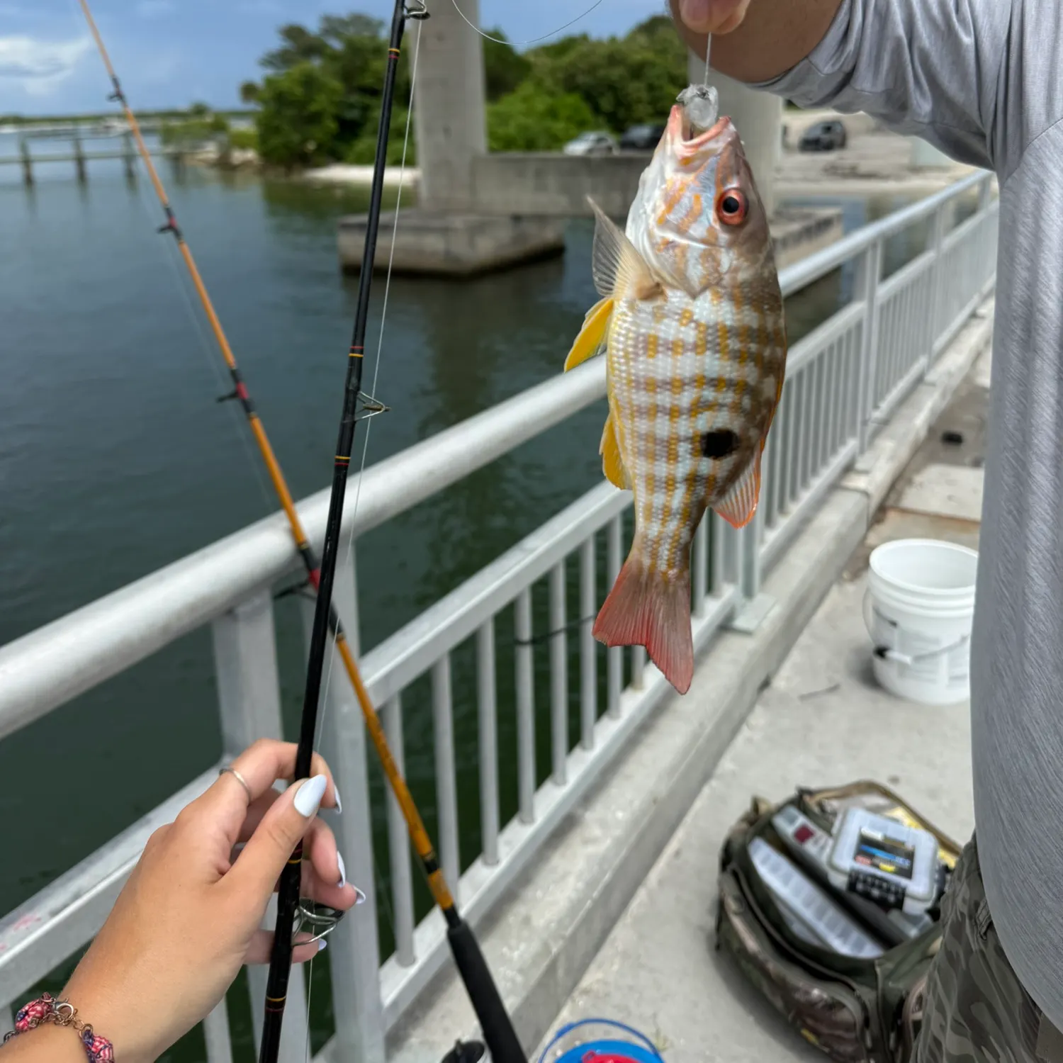 catch