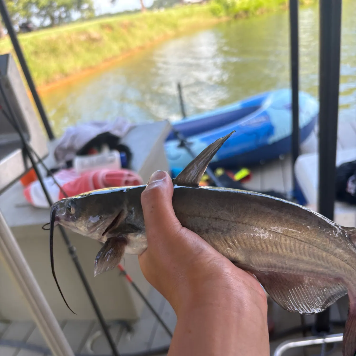 catch