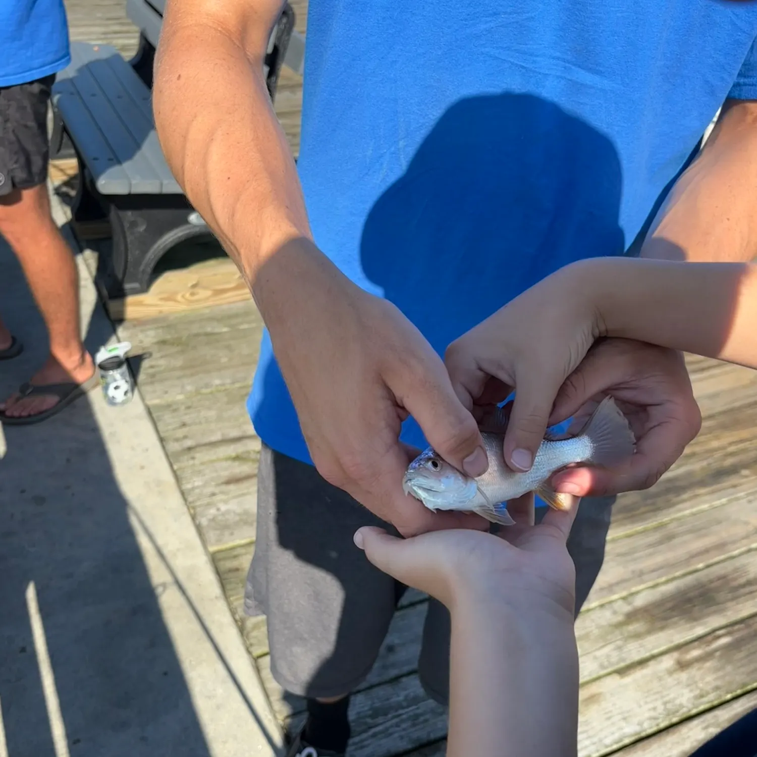 The most recent Atlantic croaker catches on Fishbrain