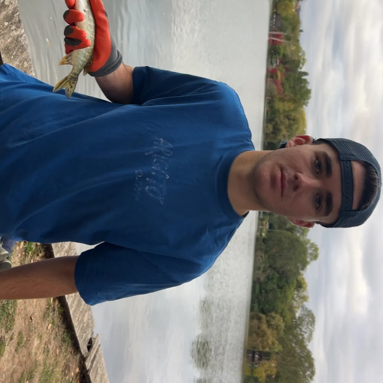 Northern pike caught on Fishbrain